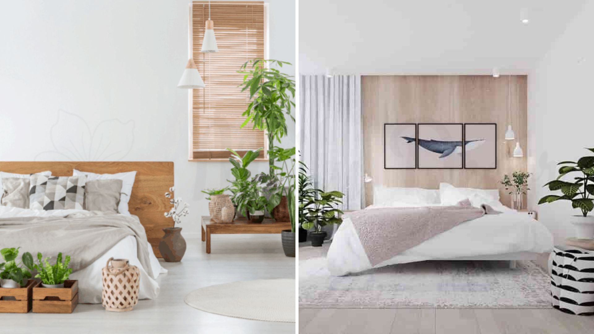 Bố trí thêm cây xanh trong phòng ngủ