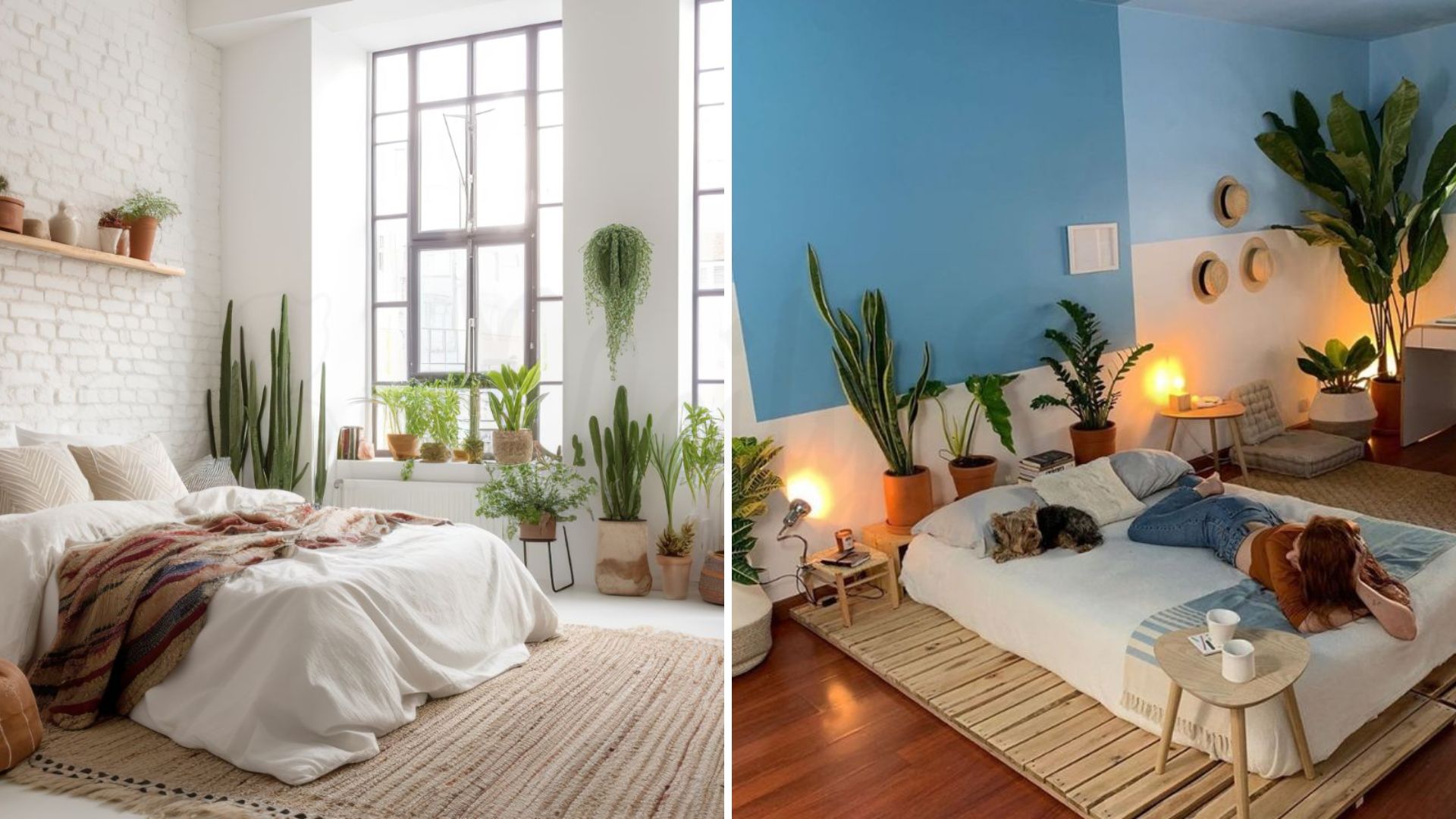 Mẫu phòng ngủ decor sang trọng kiểu Nhật, Hàn